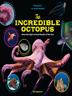 cover image of The Incredible Octopus
